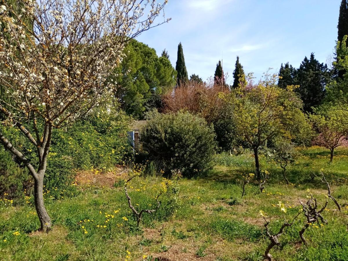 Au Mas Saint Pierre Ξενοδοχείο Pignans Εξωτερικό φωτογραφία