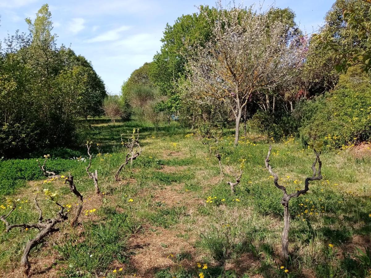 Au Mas Saint Pierre Ξενοδοχείο Pignans Εξωτερικό φωτογραφία